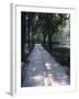 Crystal Glass Walkway Marking Spot of Indira Gandhi's Assassination, Akbar Road, India-John Henry Claude Wilson-Framed Photographic Print