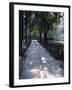 Crystal Glass Walkway Marking Spot of Indira Gandhi's Assassination, Akbar Road, India-John Henry Claude Wilson-Framed Photographic Print