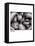 Crystal Gradation 1921-Paul Klee-Framed Stretched Canvas