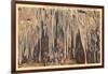 Crystal Grotto, Carlsbad Caverns, New Mexico-null-Framed Art Print