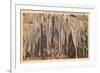 Crystal Grotto, Carlsbad Caverns, New Mexico-null-Framed Premium Giclee Print