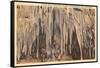 Crystal Grotto, Carlsbad Caverns, New Mexico-null-Framed Stretched Canvas