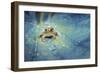 Crystal Guard-Robby Fakhriannur-Framed Giclee Print