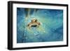 Crystal Guard-Robby Fakhriannur-Framed Photographic Print