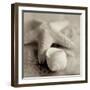 Crystal Harbor #17-Alan Blaustein-Framed Photographic Print