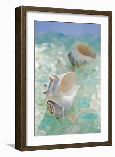 Crystal Harbor #1-Alan Blaustein-Framed Photographic Print