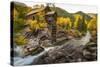 Crystal Mill Is One of the Major Iconic Shots of Colorado in Autumn-Jason J. Hatfield-Stretched Canvas