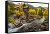 Crystal Mill Is One of the Major Iconic Shots of Colorado in Autumn-Jason J. Hatfield-Framed Stretched Canvas