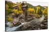 Crystal Mill Is One of the Major Iconic Shots of Colorado in Autumn-Jason J. Hatfield-Stretched Canvas