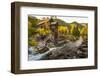 Crystal Mill Is One of the Major Iconic Shots of Colorado in Autumn-Jason J. Hatfield-Framed Photographic Print