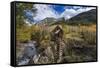 Crystal Mill Near Marble, Colorado, Usa-Chuck Haney-Framed Stretched Canvas