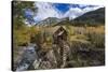 Crystal Mill Near Marble, Colorado, Usa-Chuck Haney-Stretched Canvas