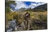 Crystal Mill Near Marble, Colorado, Usa-Chuck Haney-Stretched Canvas