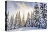 Crystal Mountain Ski Resort, Near Mt. Rainier, Wa, USA-Stuart Westmorland-Stretched Canvas