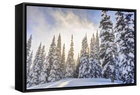 Crystal Mountain Ski Resort, Near Mt. Rainier, Wa, USA-Stuart Westmorland-Framed Stretched Canvas