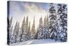 Crystal Mountain Ski Resort, Near Mt. Rainier, Wa, USA-Stuart Westmorland-Stretched Canvas