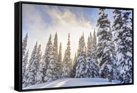 Crystal Mountain Ski Resort, Near Mt. Rainier, Wa, USA-Stuart Westmorland-Framed Stretched Canvas