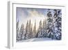 Crystal Mountain Ski Resort, Near Mt. Rainier, Wa, USA-Stuart Westmorland-Framed Photographic Print