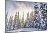 Crystal Mountain Ski Resort, Near Mt. Rainier, Wa, USA-Stuart Westmorland-Mounted Photographic Print