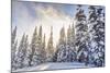 Crystal Mountain Ski Resort, Near Mt. Rainier, Wa, USA-Stuart Westmorland-Mounted Photographic Print