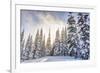 Crystal Mountain Ski Resort, Near Mt. Rainier, Wa, USA-Stuart Westmorland-Framed Photographic Print