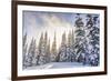 Crystal Mountain Ski Resort, Near Mt. Rainier, Wa, USA-Stuart Westmorland-Framed Photographic Print