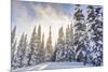 Crystal Mountain Ski Resort, Near Mt. Rainier, Wa, USA-Stuart Westmorland-Mounted Photographic Print