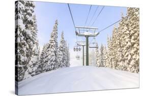 Crystal Mountain Ski Resort, Near Mt. Rainier, Wa, USA-Stuart Westmorland-Stretched Canvas