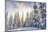 Crystal Mountain Ski Resort, Near Mt. Rainier, Wa, USA-Stuart Westmorland-Mounted Photographic Print