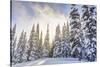 Crystal Mountain Ski Resort, Near Mt. Rainier, Wa, USA-Stuart Westmorland-Stretched Canvas