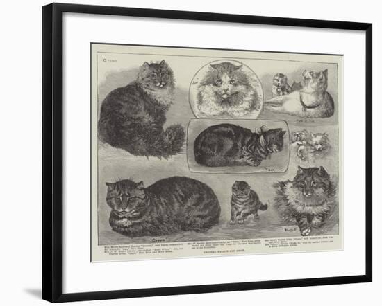 Crystal Palace Cat Show-null-Framed Giclee Print