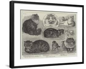 Crystal Palace Cat Show-null-Framed Giclee Print