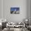 Crystal Palace (Palacio de Cristal), Retiro Park, Parque del Buen Retiro, Madrid, Spain, Europe-Markus Lange-Framed Stretched Canvas displayed on a wall