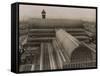 Crystal Palace Roof-null-Framed Stretched Canvas
