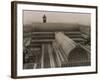 Crystal Palace Roof-null-Framed Photographic Print