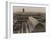 Crystal Palace Roof-null-Framed Photographic Print