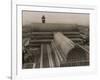 Crystal Palace Roof-null-Framed Photographic Print