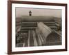 Crystal Palace Roof-null-Framed Photographic Print