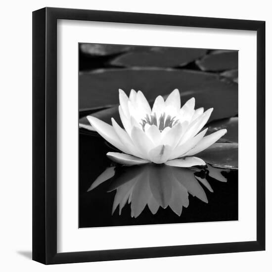 Crystal Reflection II-null-Framed Art Print