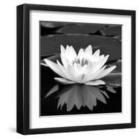 Crystal Reflection II-null-Framed Art Print