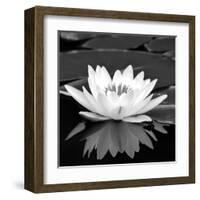 Crystal Reflection II-null-Framed Art Print