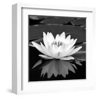 Crystal Reflection II-null-Framed Art Print