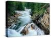 Crystal River, Gunnison National Forest, Colorado, USA-Adam Jones-Stretched Canvas