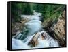 Crystal River, Gunnison National Forest, Colorado, USA-Adam Jones-Framed Stretched Canvas