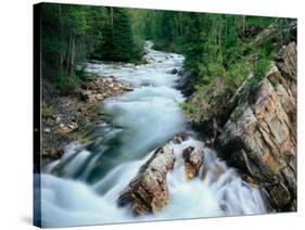 Crystal River, Gunnison National Forest, Colorado, USA-Adam Jones-Stretched Canvas