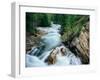 Crystal River, Gunnison National Forest, Colorado, USA-Adam Jones-Framed Photographic Print