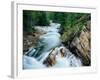 Crystal River, Gunnison National Forest, Colorado, USA-Adam Jones-Framed Photographic Print