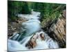 Crystal River, Gunnison National Forest, Colorado, USA-Adam Jones-Mounted Photographic Print