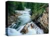 Crystal River, Gunnison National Forest, Colorado, USA-Adam Jones-Stretched Canvas