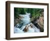 Crystal River, Gunnison National Forest, Colorado, USA-Adam Jones-Framed Photographic Print